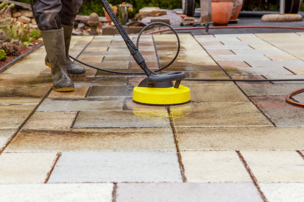 Best Solar Panel Cleaning  in Raymondville, TX